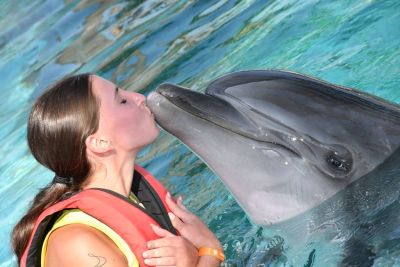 Plávanie s delfínmi v Turecku: Nezabudnuteľný zážitok v Antalyi a Alanyi